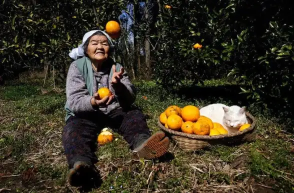 硬件推荐｜显卡天梯图2：权威对比新款显卡性能，帮你精准挑选理想配置