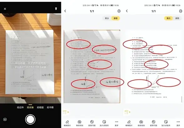 想要一款既实用又萌趣的记账工具？喵喵记账APP满足你！