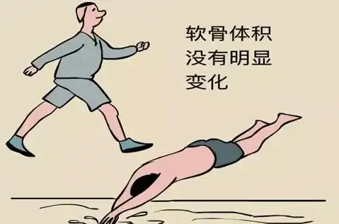 视频处理🎬高效视频压缩软件，快速减小大文件体积无损画质