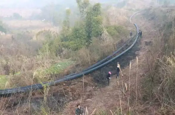 无痛单词APP这么好用，你确定不试试这款背单词神器？