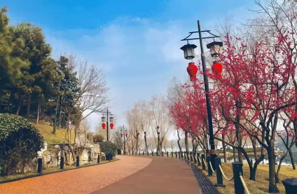想拥有专属校园跑步伴侣？步道乐跑4.1.0难道不是你的最佳选择？