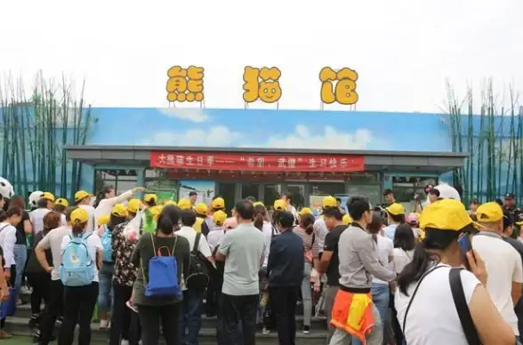 想轻松下载B站视频音频？试试BVD下载器最新版！