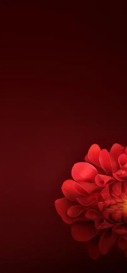 还在为单调的手机主题发愁？OPPO Two海量精美主题包等你来换！