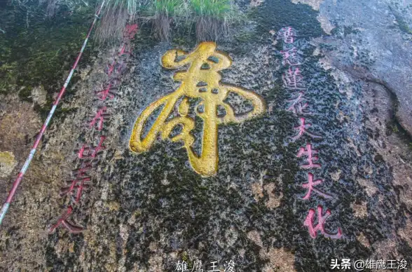 角色攻略📌技能解析 芙核心技巧详细打法指南