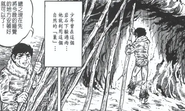 还在为宠物管理烦恼？猪小飞APP让智能养宠更轻松！