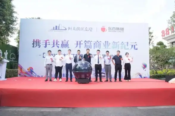 影音体验｜沉浸感🎬视频专用播放器：开启极致观影新纪元