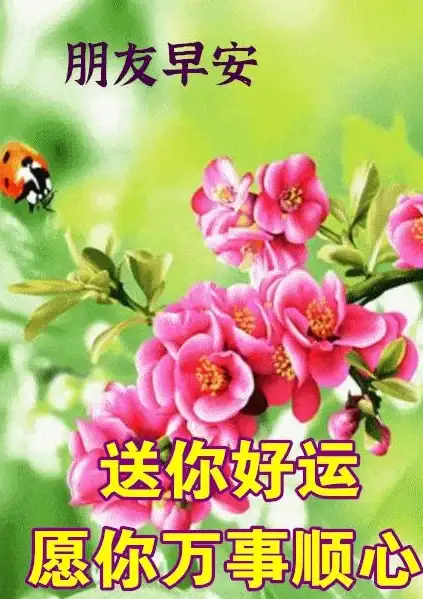 健康✨实用指南✨七日世界全方位健康管理宝典