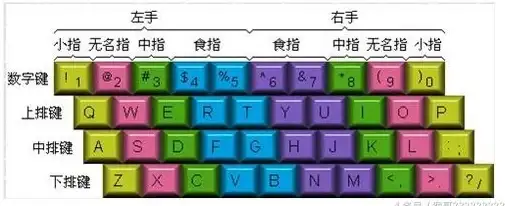 打字训练🎮高效提升｜金山打字游戏2010：趣味练习，快速掌握高效打字技巧
