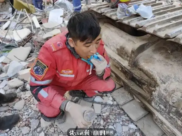 还在为宠物沟通烦恼？乖宠互动帮你翻译需求、急救指导、专业咨询全搞定！