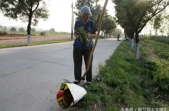 想轻松赚零花钱？试试这款集新闻、视频与收益于一体的神器！