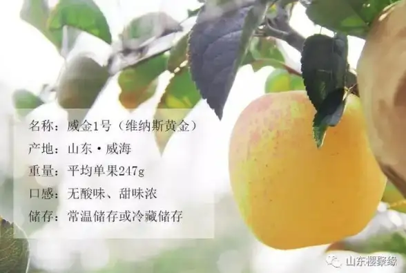 同城社交找不到优质伙伴？聚缘公园‘附近’专区一键添加好友，轻松打破距离限制！
