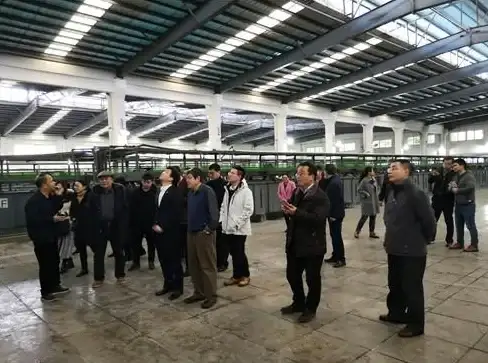 热游推荐🔥2025最佳王国策略游戏免费下载全攻略指南