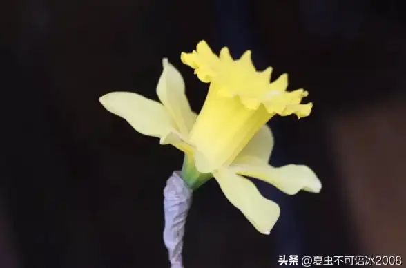 如何养成自律习惯？让禅定空间APP成为你的强制专注助手！