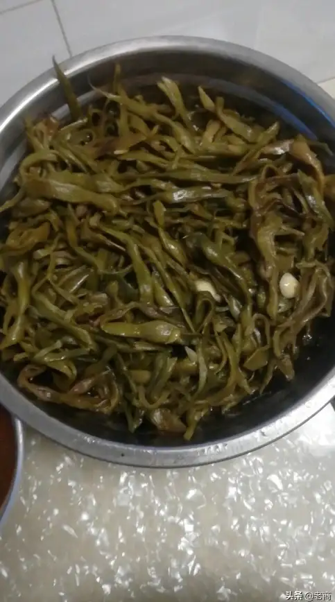 还在寻找一款精彩万分的短视频观赏平台？何不试试鲜时光APP？