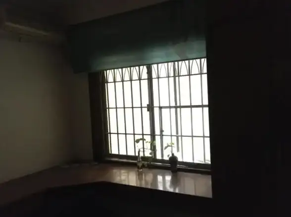 还在为多账号登录烦恼？希象云手机APP让你轻松实现微信、QQ多开！
