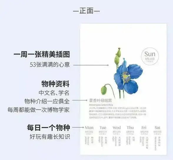 现代生活节奏快？让这款界面友好、功能卓越的日历APP帮你轻松规划每一天！