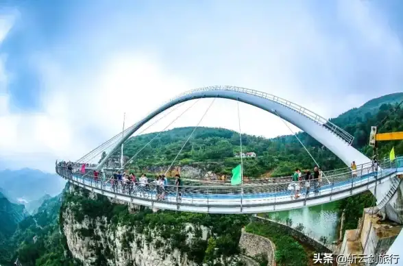 还在寻找全能生活助手？太极APP 2025版观山听雨修仙抚琴一应俱全！