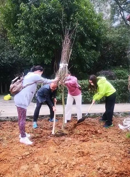 想体验绿色出行？福元出行APP让你轻松租赁新能源汽车！