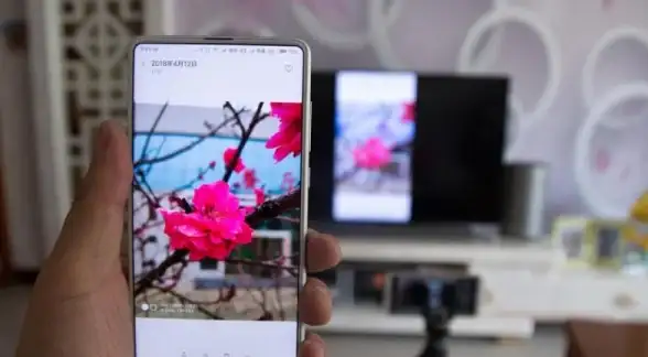 投屏📱手机与电视连接实现大屏互动全攻略