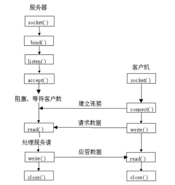 Python教程 安装指南 最新版Python下载安装教程：轻松获取安全安装包