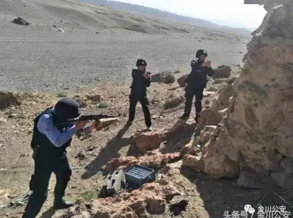 日常瞬间 手机相册：捕捉生活精彩，留住心中感动