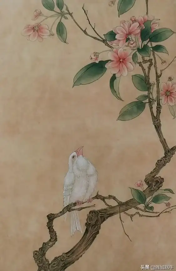 还在为网页加载慢而烦恼？花瓣浏览器APP让你体验极速上网！