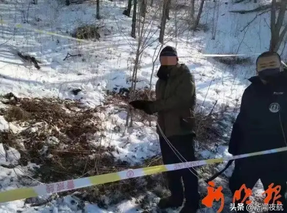 冒险之魂🦌猎杀之旅：野外探险与狩猎技巧的极限挑战