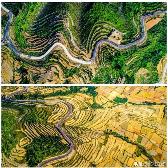 摄影技巧📷相机配置天梯图详解：新手如何高效阅读与选择