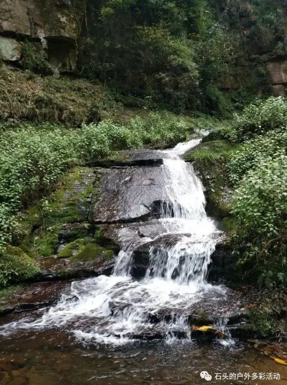 隐私保护📍苹果手机常去地点查询指南，小鱼带你快速上手