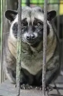 还在为找不到影视资源发愁？资源猫APP官方版海量视频任你选！