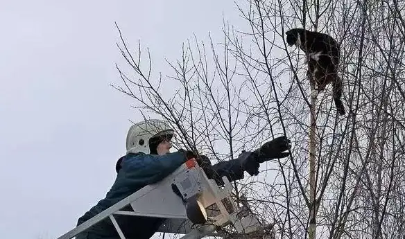 还在为找不到影视资源发愁？资源猫APP官方版海量视频任你选！