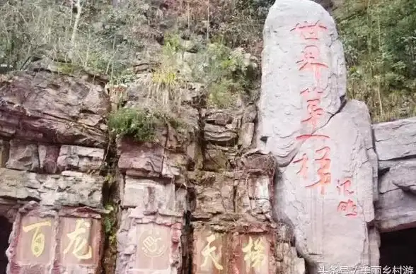显卡 2015年电脑显卡天梯图：最新显卡性能对比与选购指南