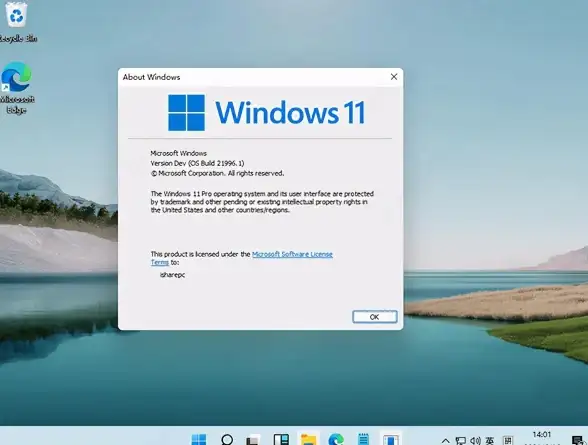 多系统🌟Win11双系统：探索电脑多样化使用新方式