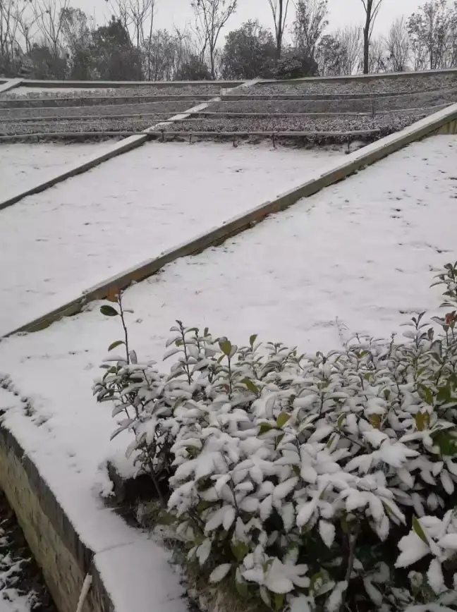 还在为天气变化烦恼？新晴天气app精准预报几点几分下雨下雪！