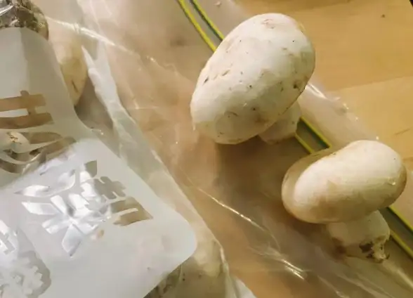 毒蘑菇警告⚠紧急须知|安全科普｜常见有毒蘑菇种类及快速处理全攻略