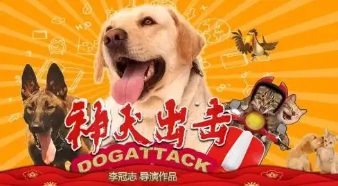 奇兵出击⚡装备升级全解析⚡高性价比必看｜大奉打更人最全攻略