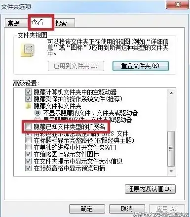 文件管理 Win11系统中如何快速查看文件扩展名