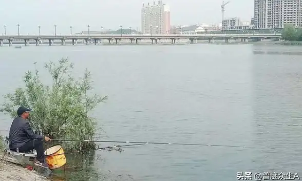 休闲钓鱼🎣极致养鱼 受欢迎钓鱼养鱼游戏2025最新精选合集