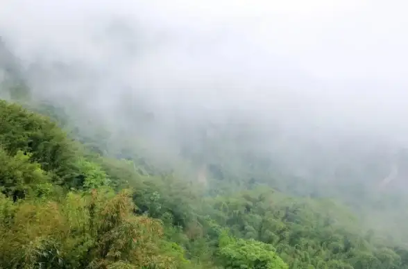 想要高速免费下载优质软件和游戏？APPenjoy为何成为用户首选？