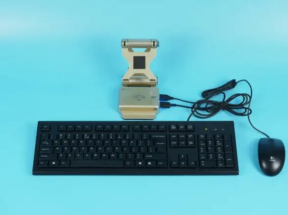 还在找游戏模拟器？盖世小鸡APP满足你的所有需求！