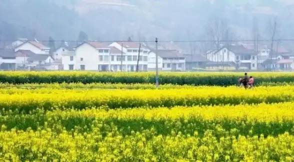 攻略秘籍🔥梦幻模拟战手游极速开荒全攻略指南