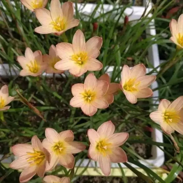 谁说不花钱读不到好书？最新版第一主板o1bz免费推荐全本小说！