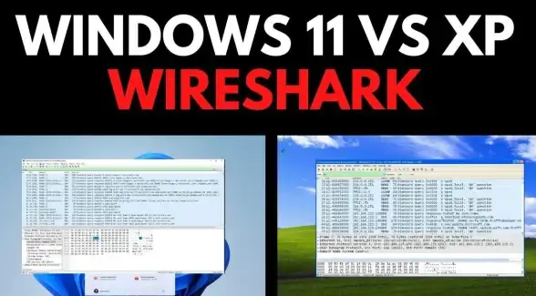 教程精选💻一步步教你电脑装win11系统，简单易懂的视频教学