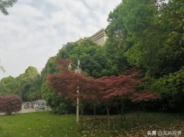 如何高效提升保密意识？保密观APP助你在线报名、查阅最新行业资讯！