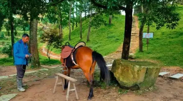 旅行拍照还在发愁？杨梅旅拍让你一键捕捉沿途风光！