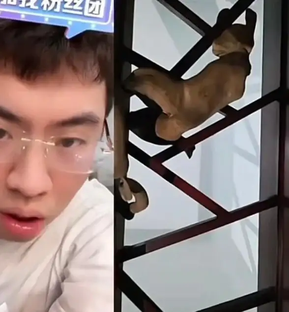 还在为古玩鉴定发愁？听泉鉴宝APP让你轻松成为鉴宝专家！