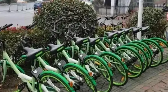 为什么不用好奇时刻APP？一站式满足你的学习与知识分享需求！