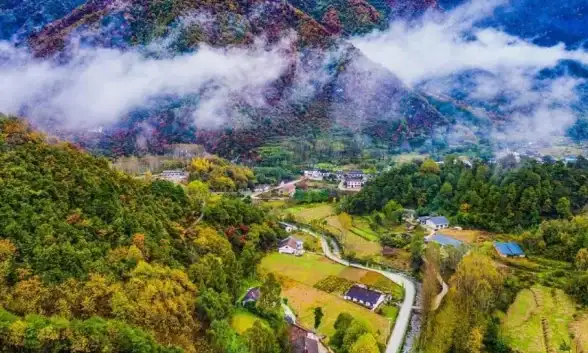 敲木鱼也能升华自我？这款双模式电子木鱼APP让你找回内心宁静！