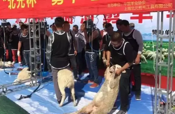还在为线上社交无聊发愁？绵羊派对APP让你畅快语音互动！