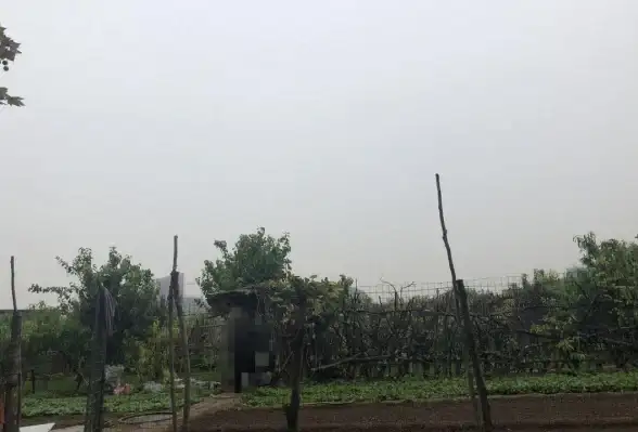 员工专属神器！胖东来家园APP如何帮你高效完成工作？